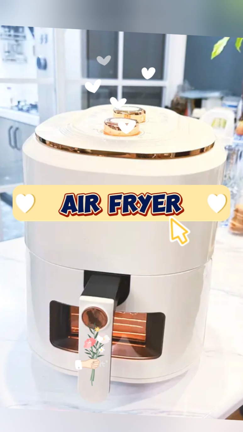 Air Fryer 