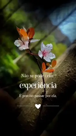 Experiência