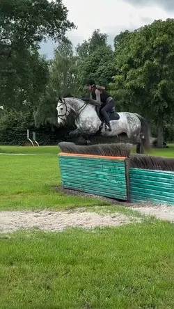 sirmixalot