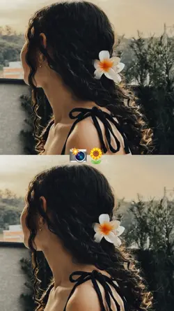 sua foto 