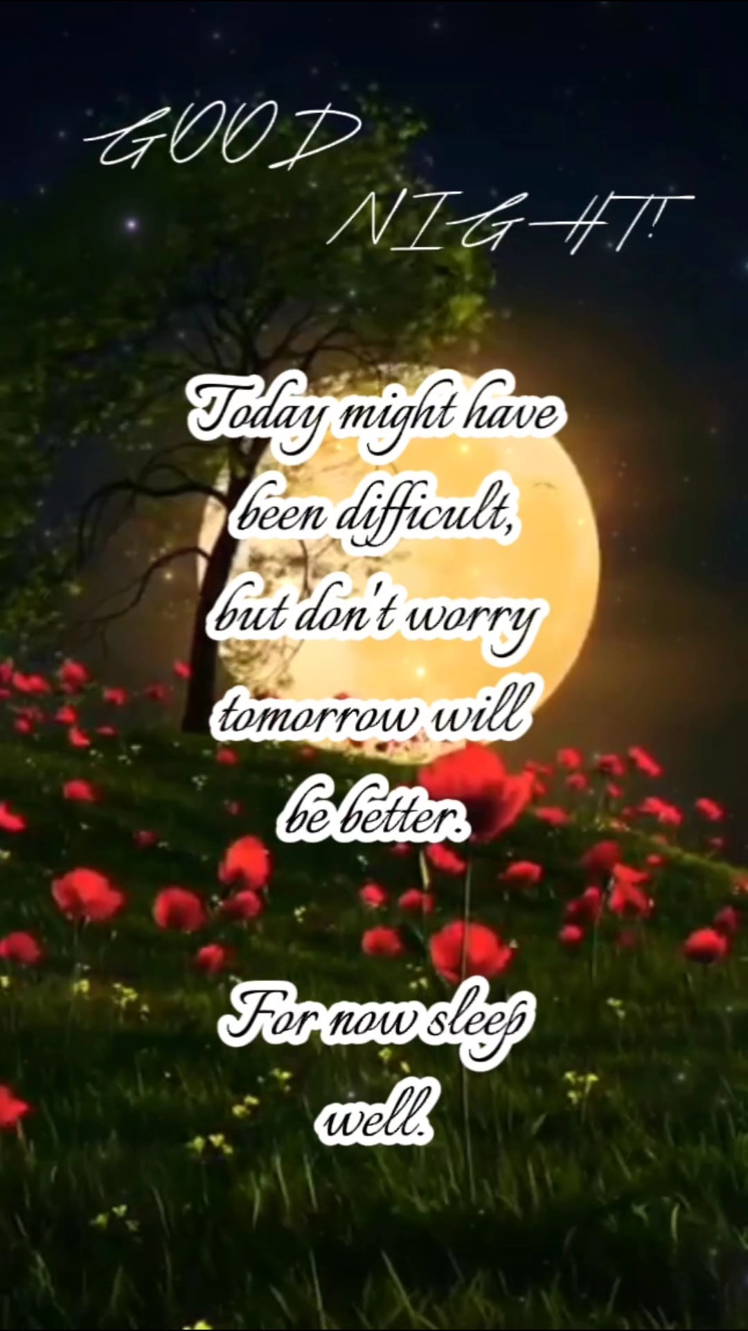 Good Night