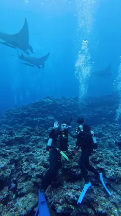 snorkeling