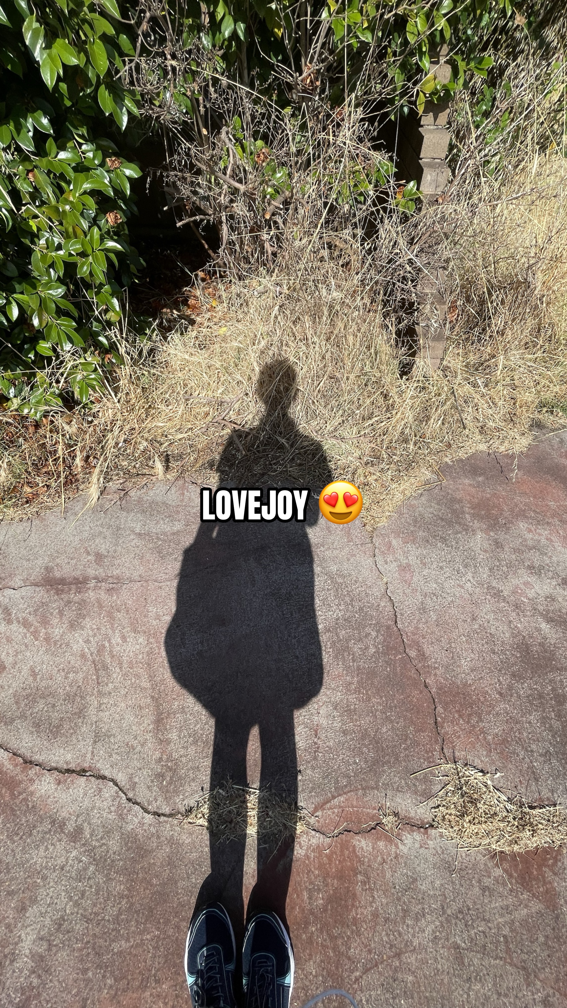 the real ones listen