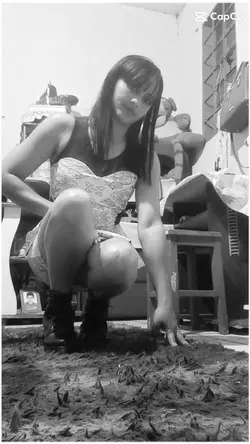 visualização musical