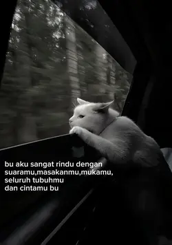 aku sangat rindu bu