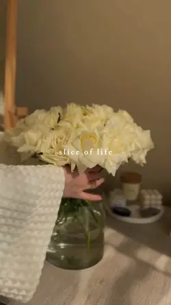 slice of life