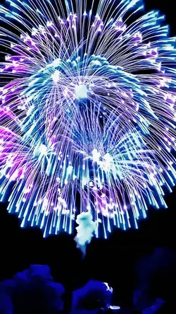 Fireworks Show