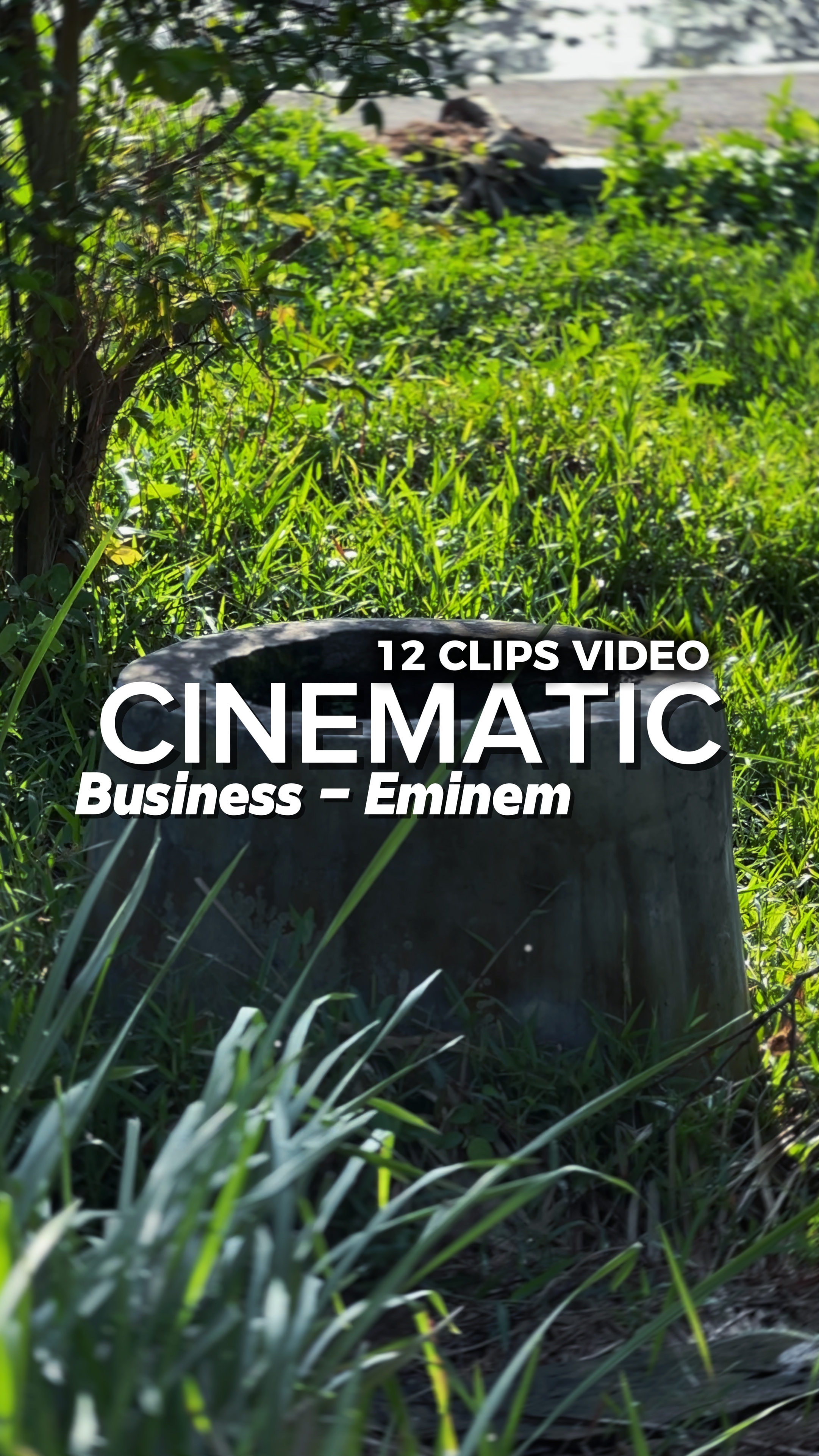 VIDEO DE 12 CLIPS