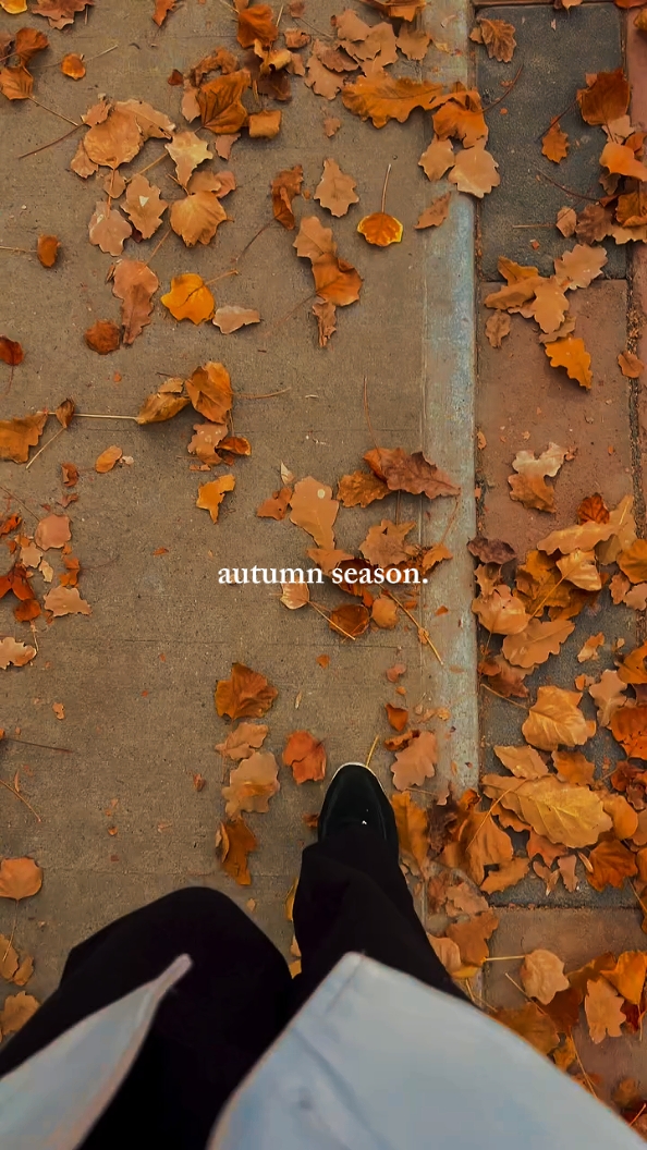 Herbstsaison 