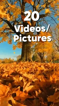 20 videos Autumn