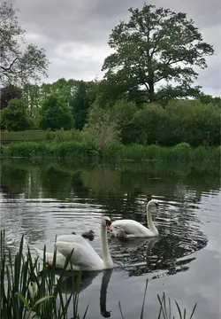 សាន់តាណា