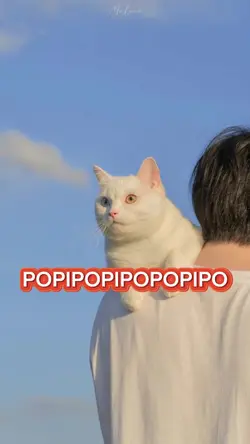 POPIPOPOPIPO
