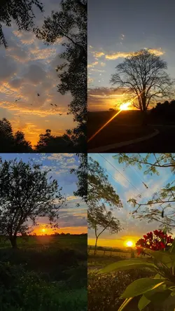 Paisagem