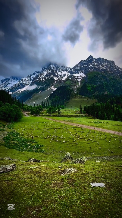 Kalikasan