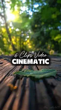 6 Clips Video