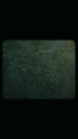 học cách buông bỏ