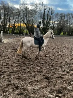 mon premier concours