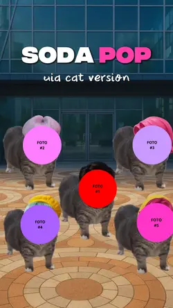 Soda pop cat version