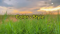 Mẫu Color Style 