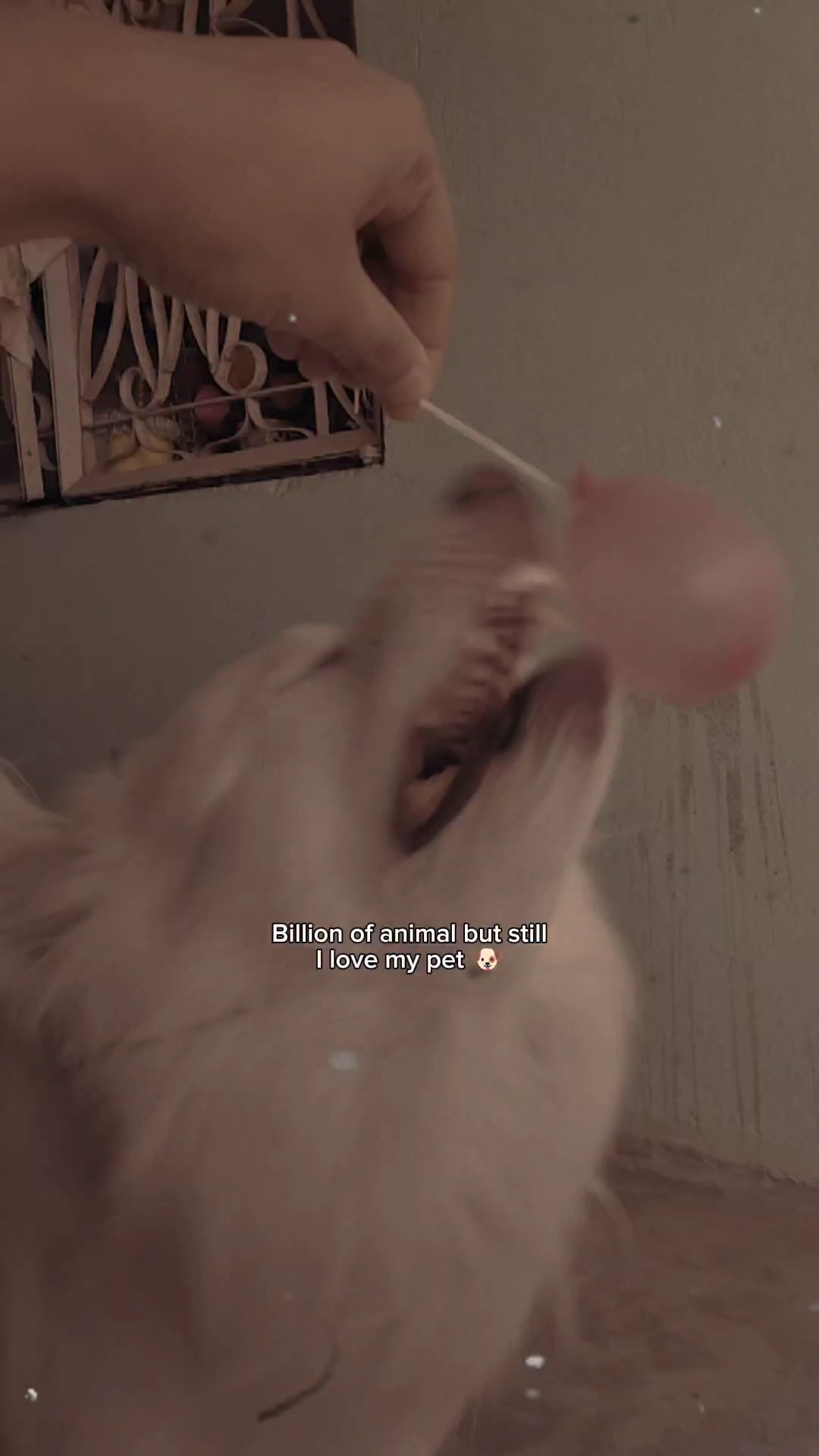 only trustone person