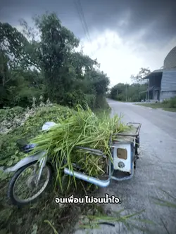 ชัดเจนสมาชิก💯😆