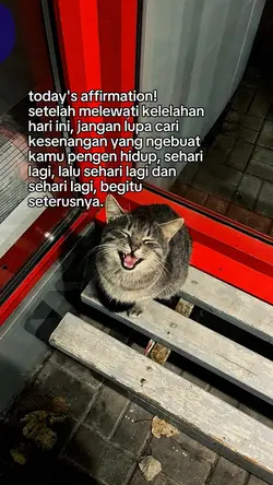 today's affirmation!