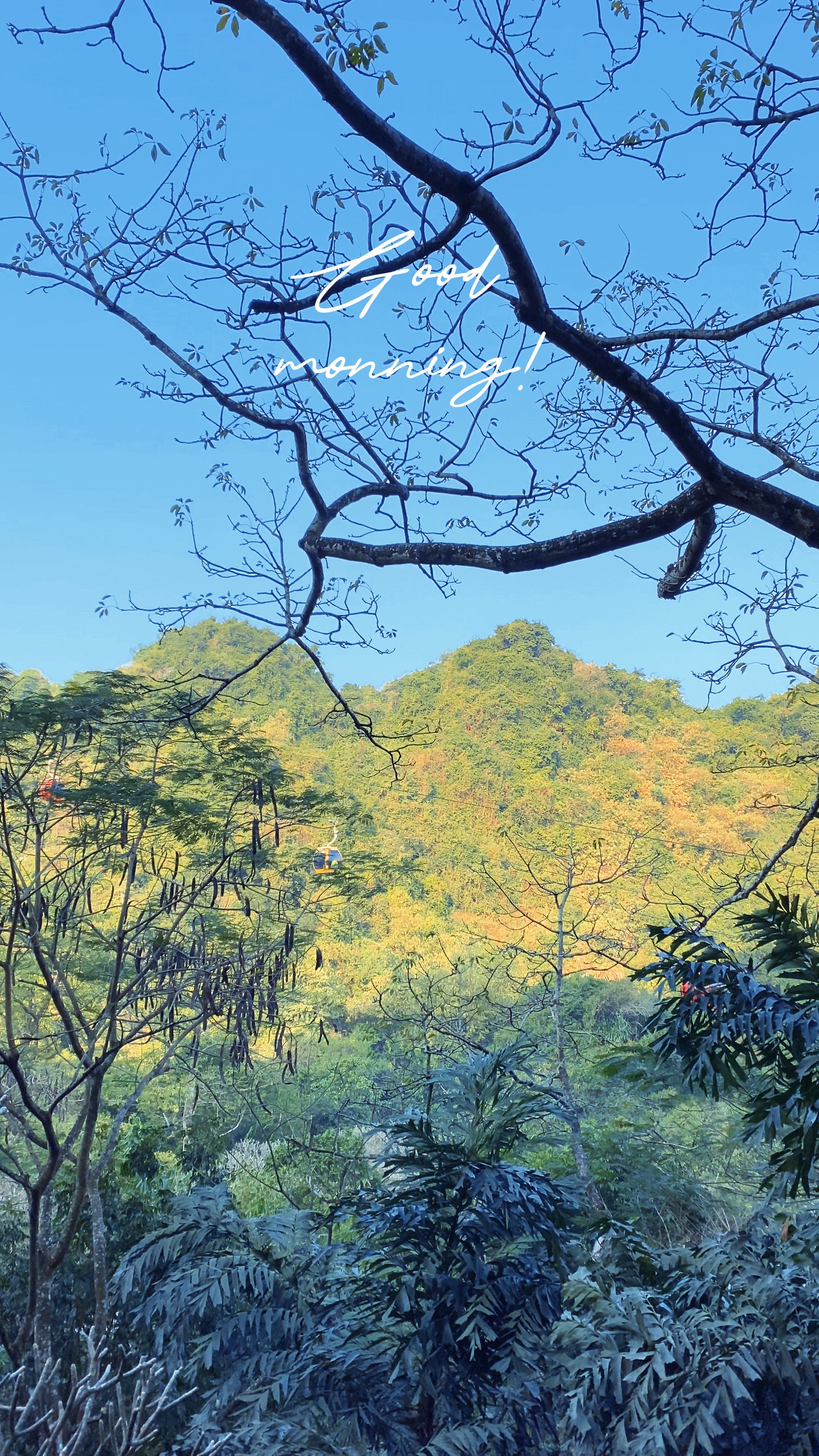 Chào buổi sáng| 1VD