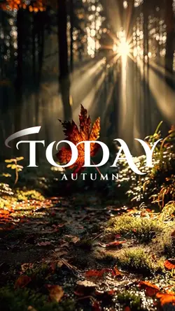 today autumn