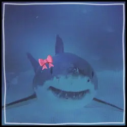 shark edit !