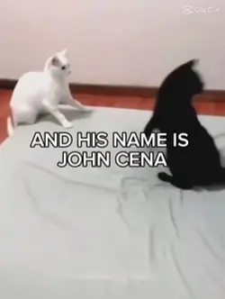 John cena