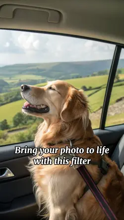 Back to life filter 