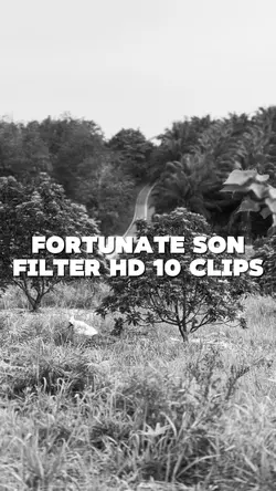 FortunateSon
