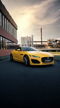 💛Jaguar💛