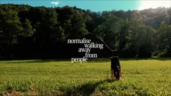 normalise walking