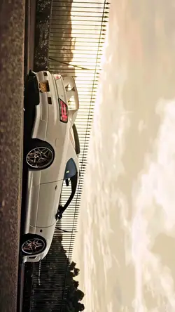 CAR VERTICAL 