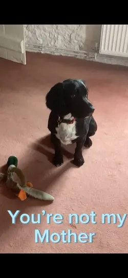 You’re not my mother