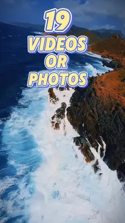 19 new template 2025