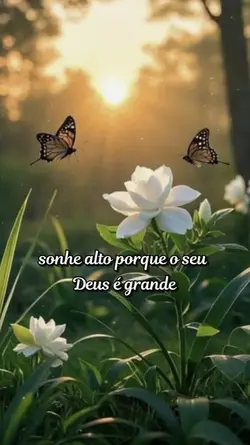 reflexão 