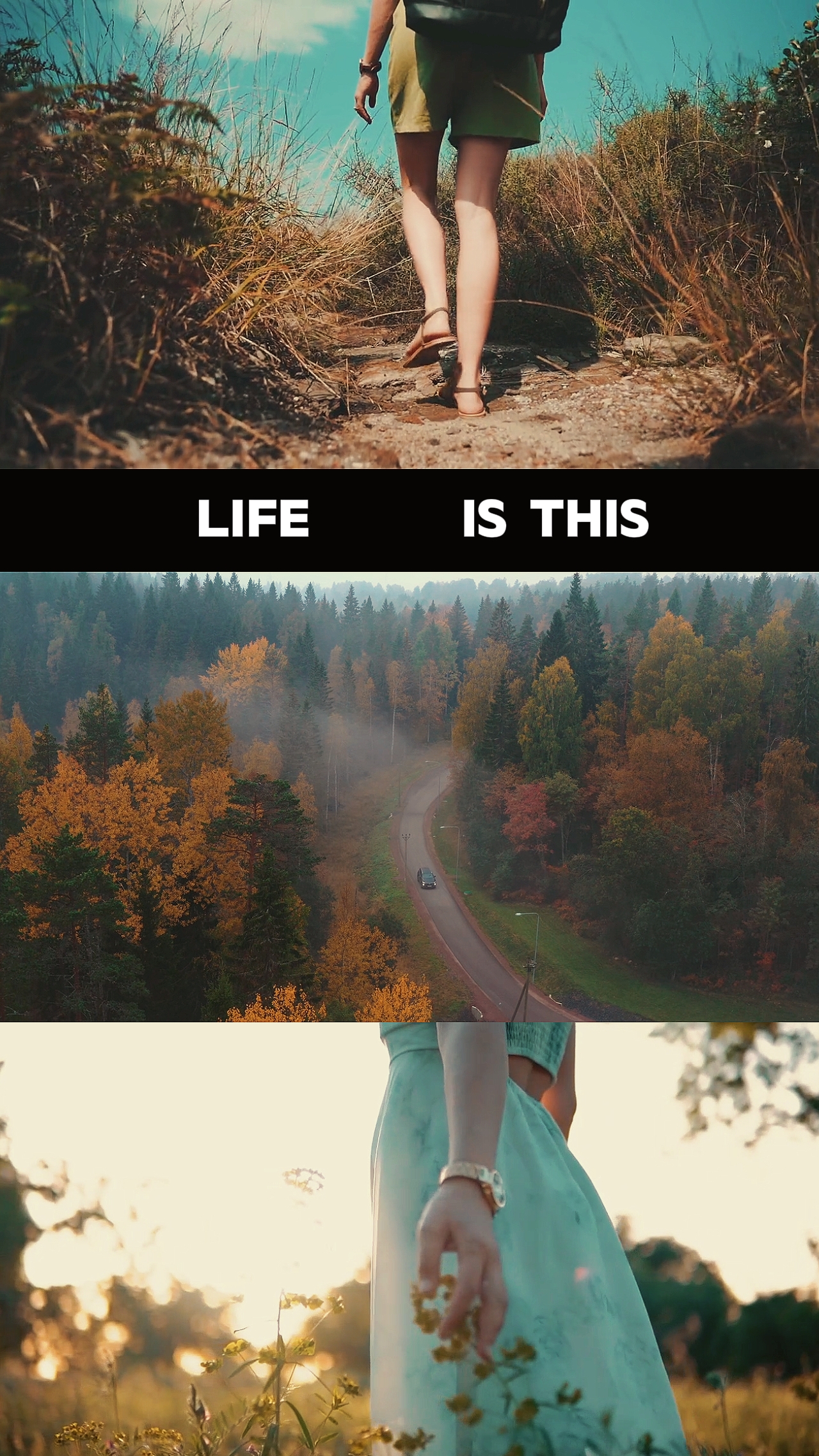 Aventura cinematográfica
