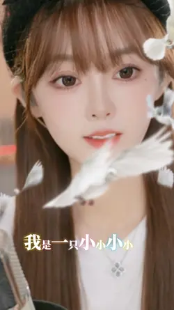 我是一只小小鸟