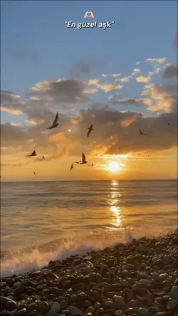 Kasım Ayı Şablonu 