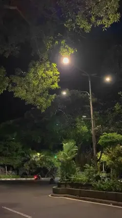 malam estetik 