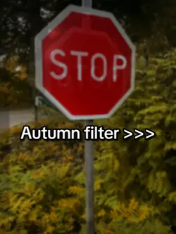 Autumn filter🍁🍂☕️