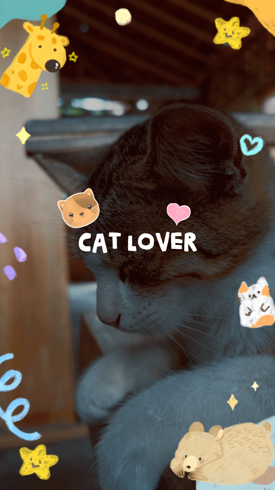 Katzenliebhaber