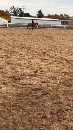 ⚠️fake⚠️ai⚠️not real⚠️