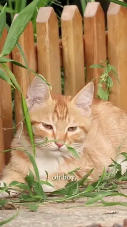 She’s filming again!