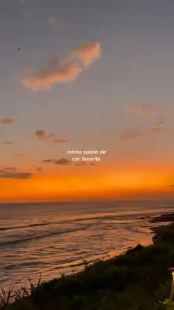 paleta de cor favori