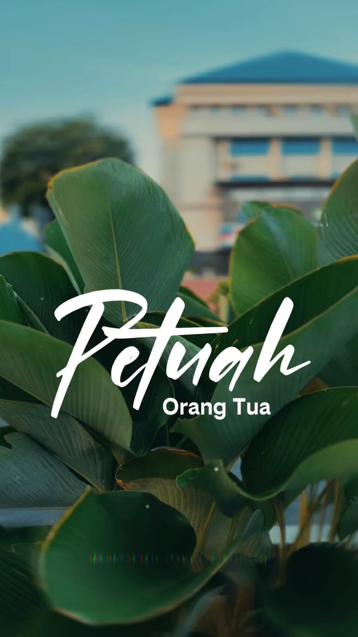 TUA ORANG TUA