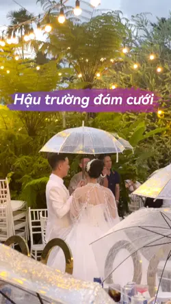 Mẫu nhiều video 