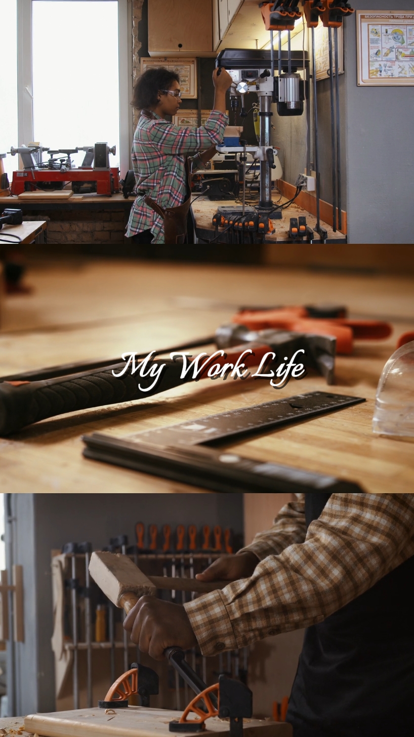 Mi Vida Laboral